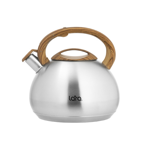 Чайник LARA LR00-78 матовый 4.5л