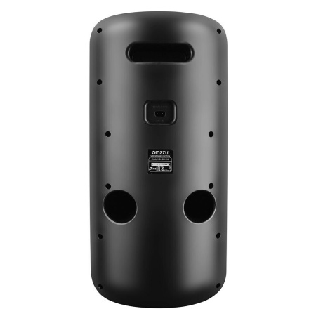 Мидисистема GINZZU GM-233