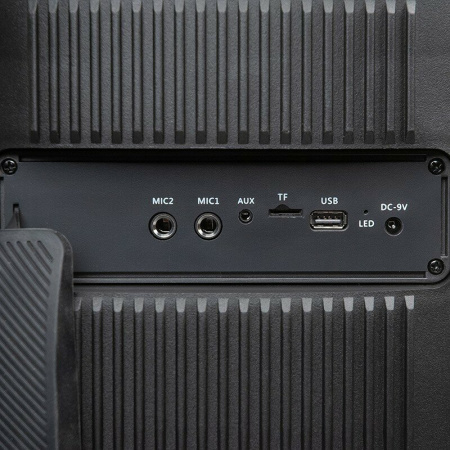 Акустическая колонка Dialog Oscar AO-300