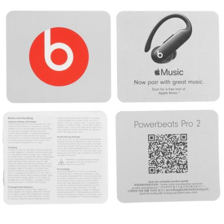 Наушники TWS Beats Powerbeats Pro 2 фиолетовый