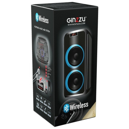 Акустическая система Ginzzu GM-211