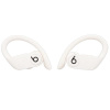 Наушники TWS Beats Powerbeats Pro бежевый