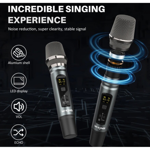 Портативная колонка W-King D20 черный